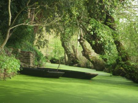 marais poitevin